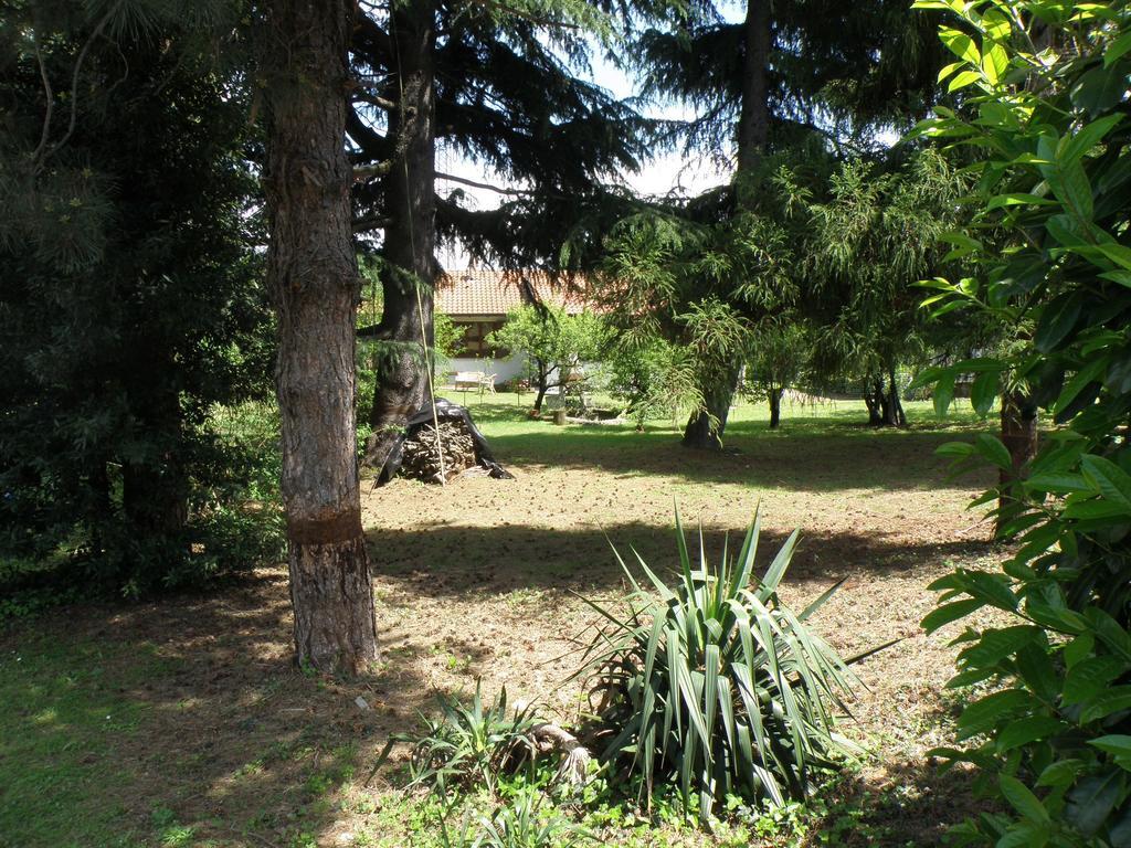 Casnate Con Bernate B&B Villa Mirella المظهر الخارجي الصورة