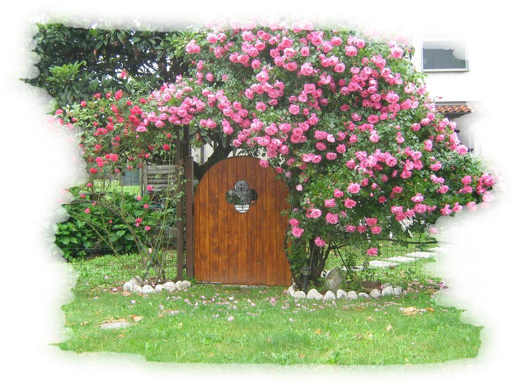 Casnate Con Bernate B&B Villa Mirella المظهر الخارجي الصورة