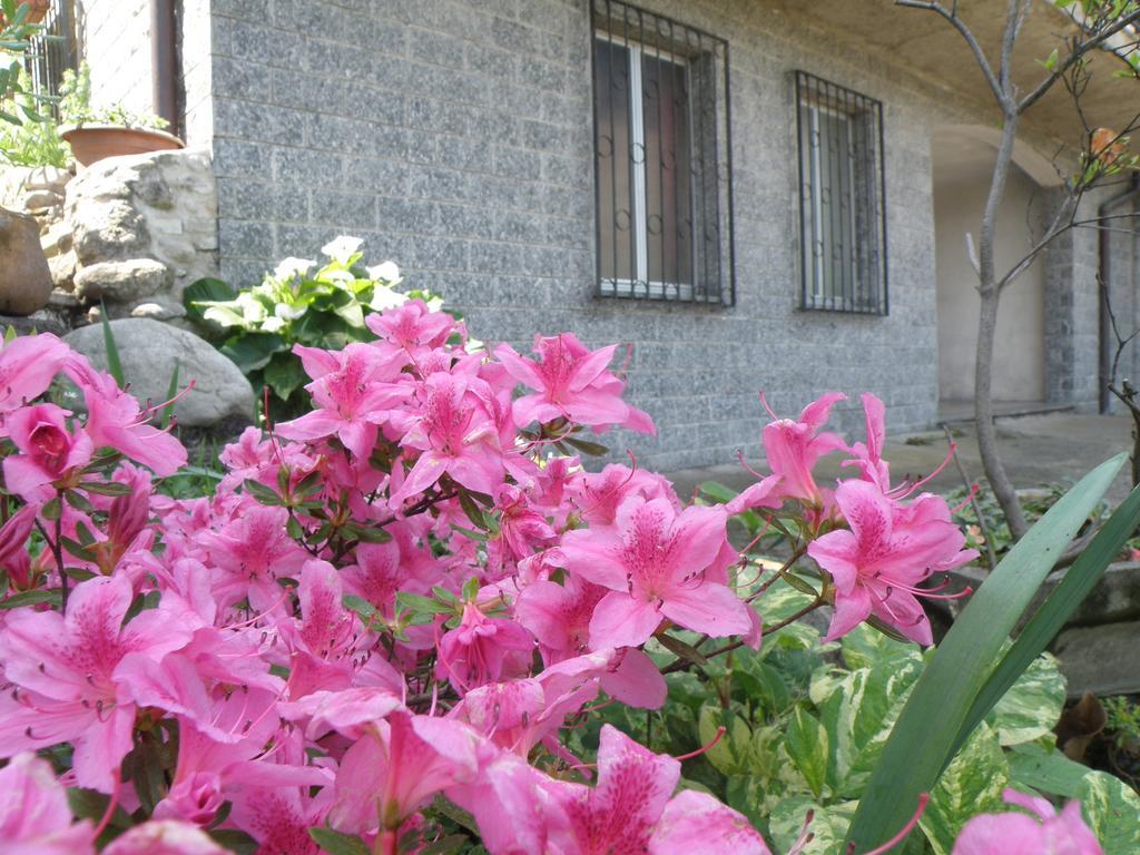 Casnate Con Bernate B&B Villa Mirella المظهر الخارجي الصورة