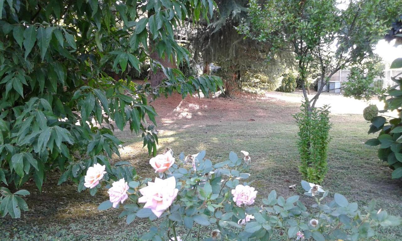 Casnate Con Bernate B&B Villa Mirella المظهر الخارجي الصورة